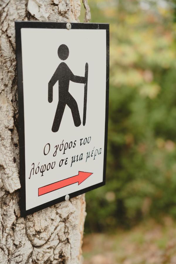 2 Hébergement de vacances Ktistades